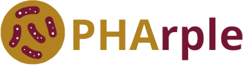 Sustainable PHA Recovery from agri-food waste via purPLE non-sulfur bacteria mixed cultures